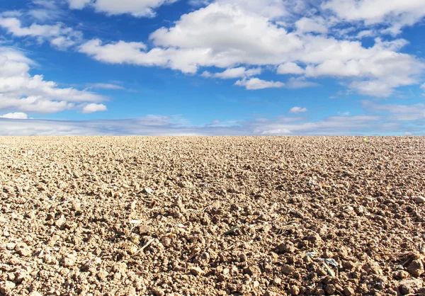 Soil preparation, planting and blue sky — Stock Photo, Image