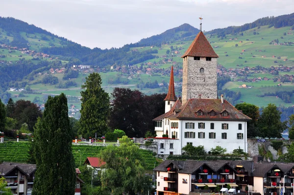 Chateau de speiz, schweiz — Fotografia de Stock