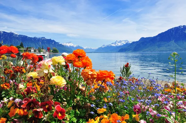 Blumen, Berge und See — Stockfoto