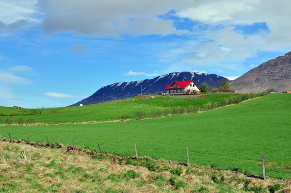 Kırmızı çatılı İzlandalı evi — Stok fotoğraf