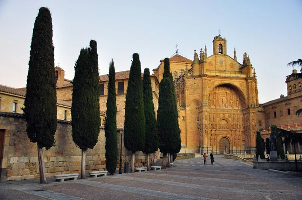 Catherdal of Salamanca — Stock Photo, Image