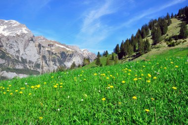 Swiss doğal peyzaj