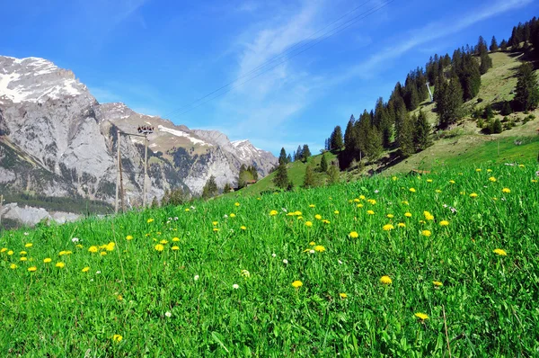 Paesaggio naturale svizzero — Foto Stock