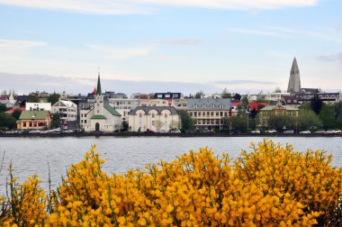 Reykjavik şehir