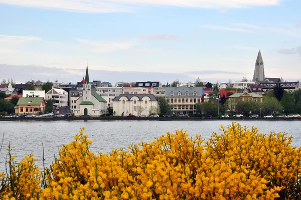 Reykjavik la ciudad — Foto de Stock