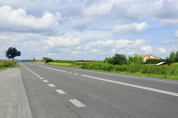 Road and tree — Stock Photo, Image