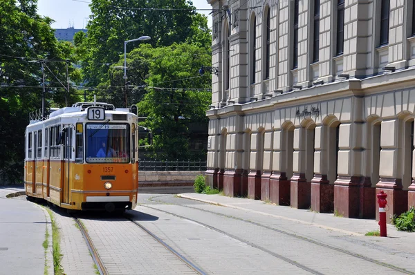 Budapešťské tramvaje — Stock fotografie