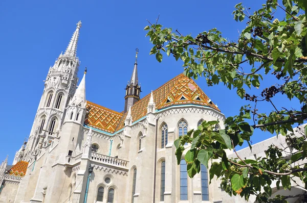 Iglesia de Matías — Foto de Stock