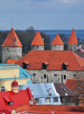 Tallinn kuleleri