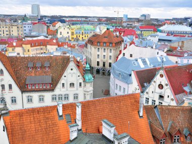 Tallinn şehir