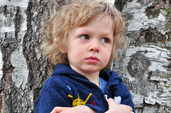 Niño en el árbol — Foto de Stock