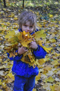 Sonbahar parkındaki çocuk.