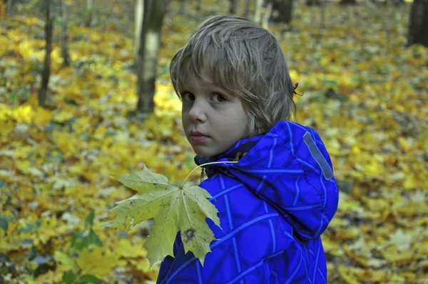 Schattig jongetje — Stockfoto