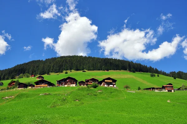 Swiss landscape Stock Image