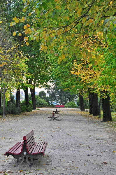 Скамейки в осеннем парке — стоковое фото