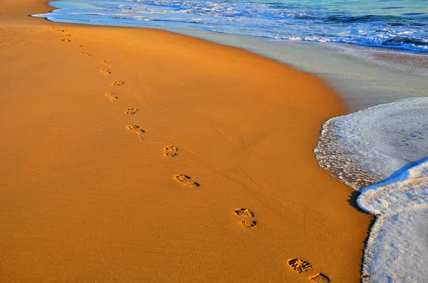 Sporen op het strand — Stockfoto