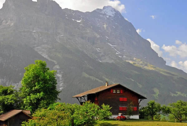 Incredibile paesaggio svizzero a Grindelwald — Foto Stock