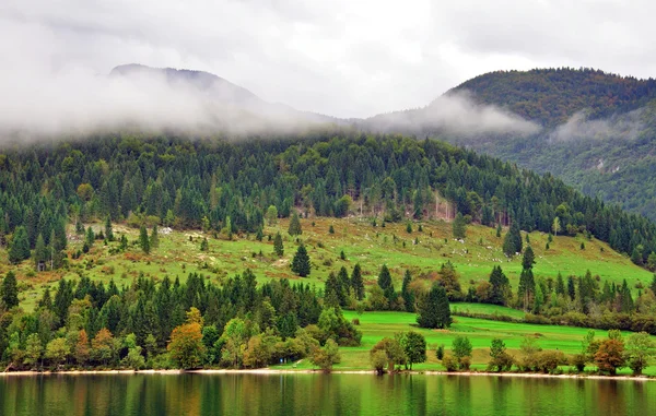 Ländliche Landschaft. Bohinjer See, Slowenien — Stockfoto