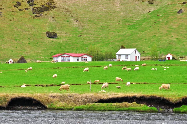 Ländliche Landschaft in Island — Stockfoto