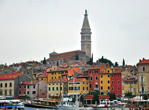 Panorama di Rovigno — Foto Stock