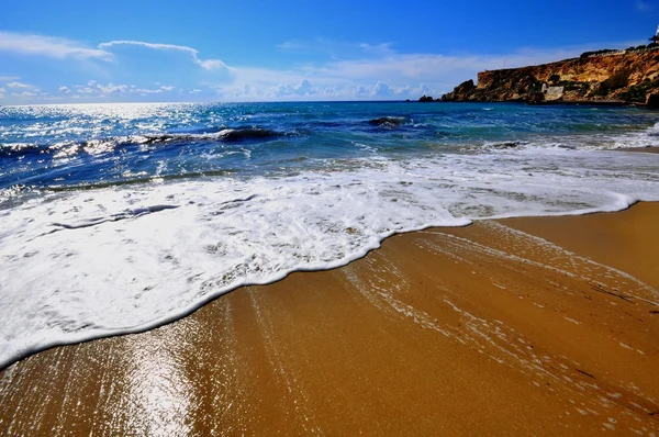 Golden beach — Stok fotoğraf