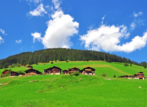 Swiss village — Stock Photo, Image