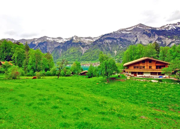 瑞士： 乡村景观 — 图库照片
