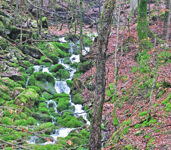 Cachoeira na floresta — Fotografia de Stock