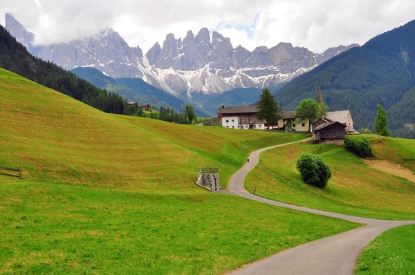 Łąka w Dolomity, Włochy — Zdjęcie stockowe