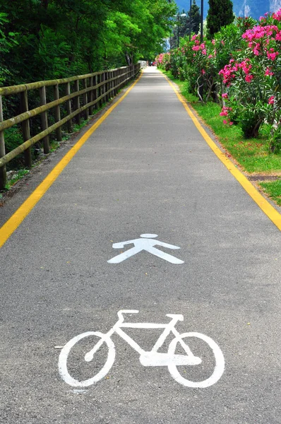 Велосипедная и пешеходная дорожка — стоковое фото