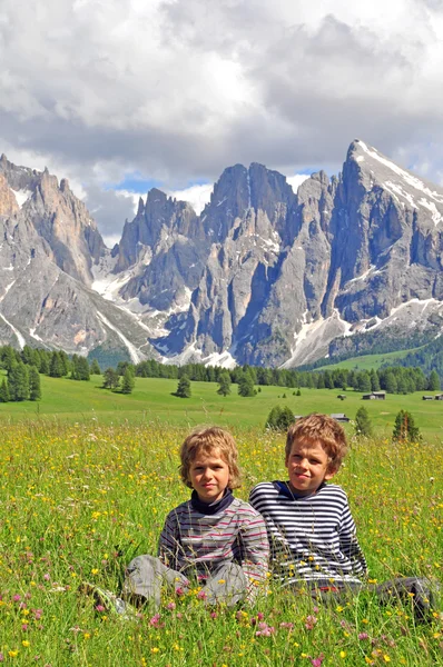 Kinderen in alpine weide — Stockfoto