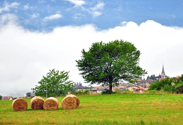 Paisagem rural — Fotografia de Stock