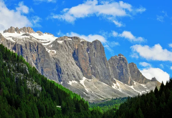 Berg, skog och sky — Stockfoto