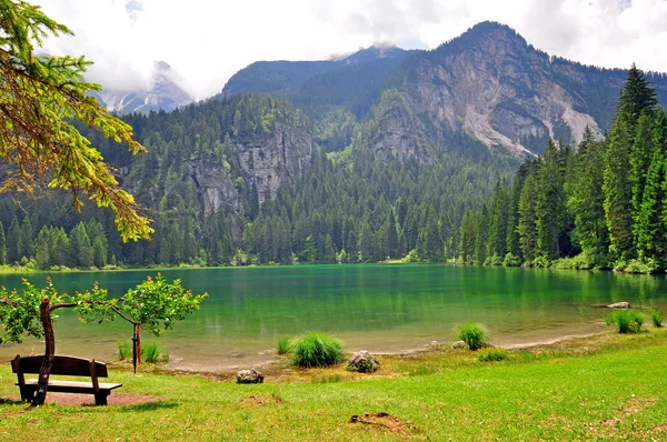 Grünes Wasser des Tavonsees — Stockfoto