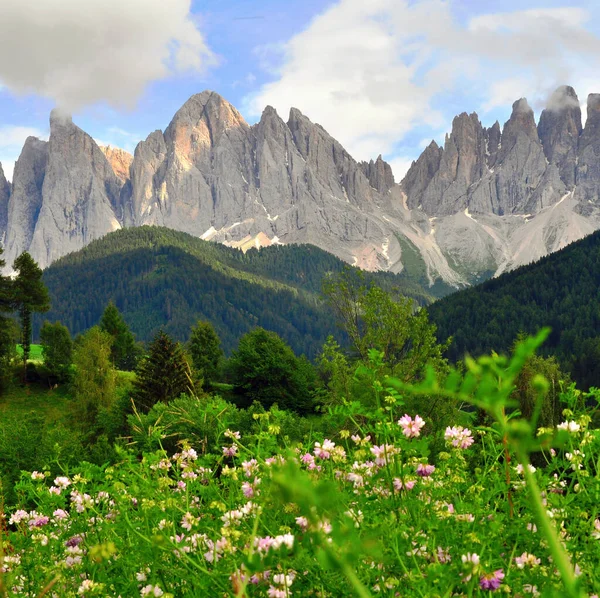 Čtvercový Záběr Italských Alp Dolomitách — Stock fotografie