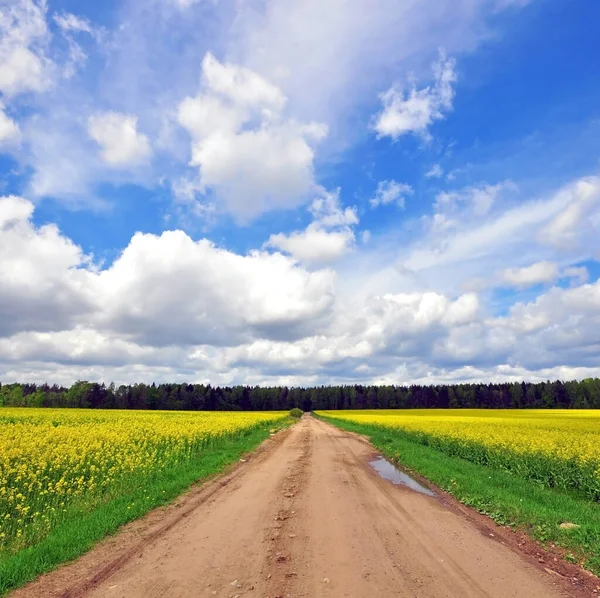 Beautiful View Rural Path Belarus — Stock Photo, Image