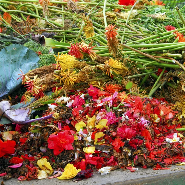 Déchets de jardin — Photo