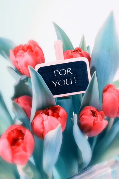 Red tulips bouquet — Stock Photo, Image