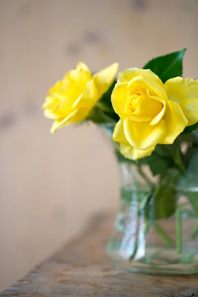 Yellow roses — Stock Photo, Image