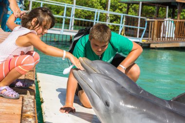 Yunuslar selamlar zevk çocuk