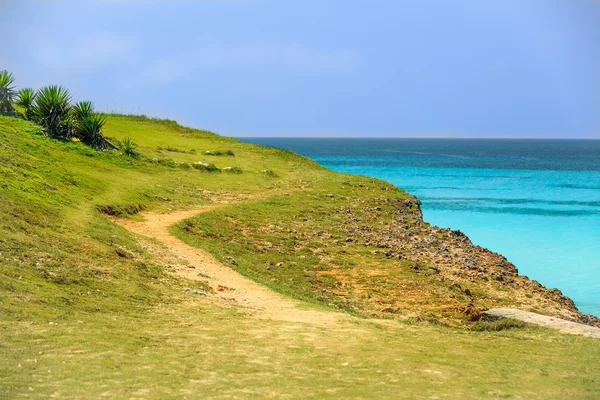 Hermosa y bonita vista del verde acantilado sobre el tranquilo océano y el cielo azul claro —  Fotos de Stock