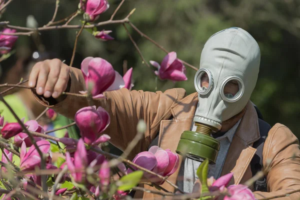 Una persona con máscara de gas que explora varias plantas y flores infestadas — Foto de Stock