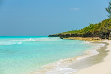 doğal tropikal arka plan büyüleyici açık görünüm