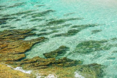 Turkuaz okyanus ve altın renkli taşlar arka planı portre görünümü