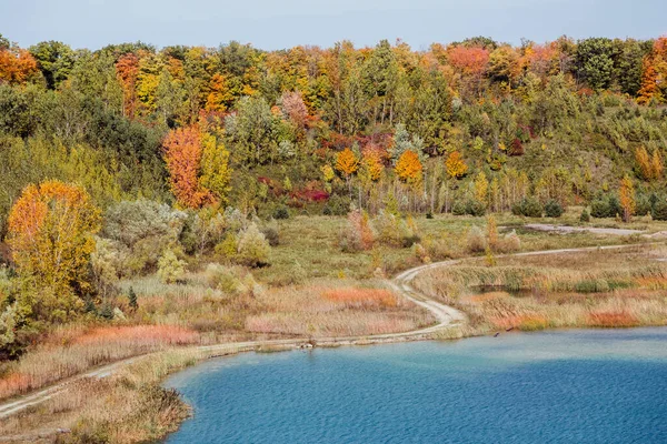 Milton Ontário Canadá Deslumbrante Vista Deslumbrante Paisagem Convidativa Floresta Outono — Fotografia de Stock