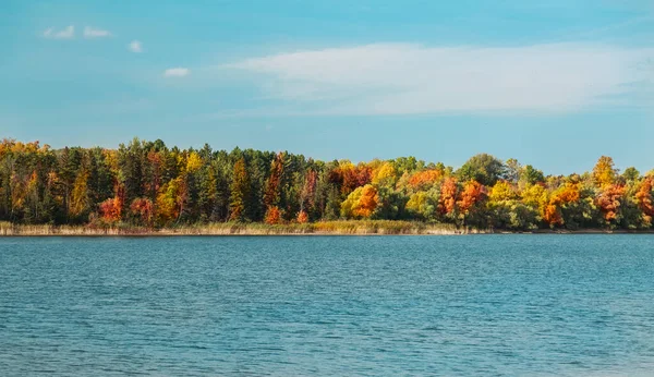 Πανέμορφο Όμορφο Φιλόξενο Φθινόπωρο Δάσος Στη Λίμνη Την Ηλιόλουστη Μέρα — Φωτογραφία Αρχείου