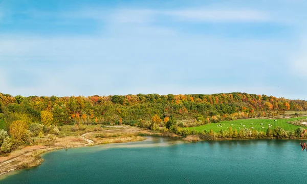 Floresta Outono Lago Linda Vista Convidativa Paisagem Dia Ensolarado Imagens Royalty-Free