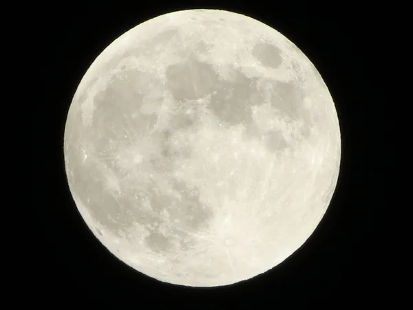 満月 ロイヤリティフリーのストック写真