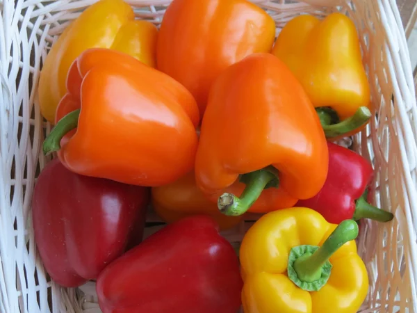 Bulgarian sweet peppers — Stock Photo, Image