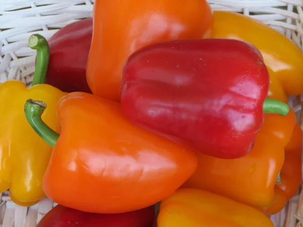 Bulgarian sweet peppers — Stock Photo, Image